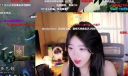 呆妹宾馆爆料视频大全最新,揭秘网红住宿背后的真实故事